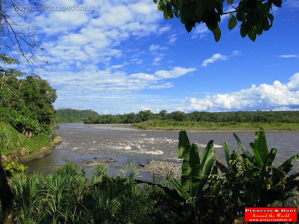 ECUADOR - Foresta Amazzonica - 45.jpg